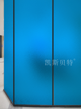 窗户贴纸遮光办公室透光不透明