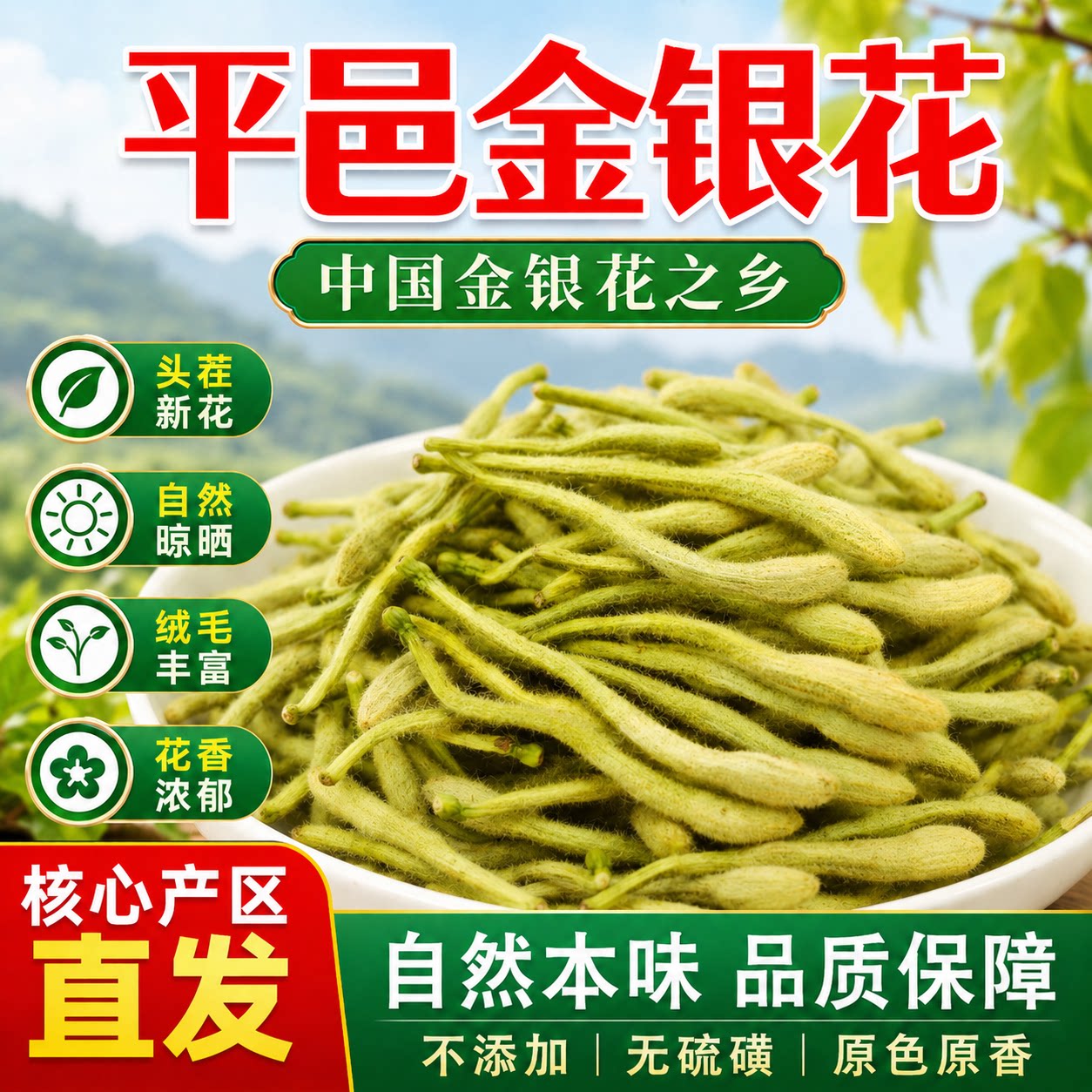野生特一级金银花山东清火茶平邑金银花
