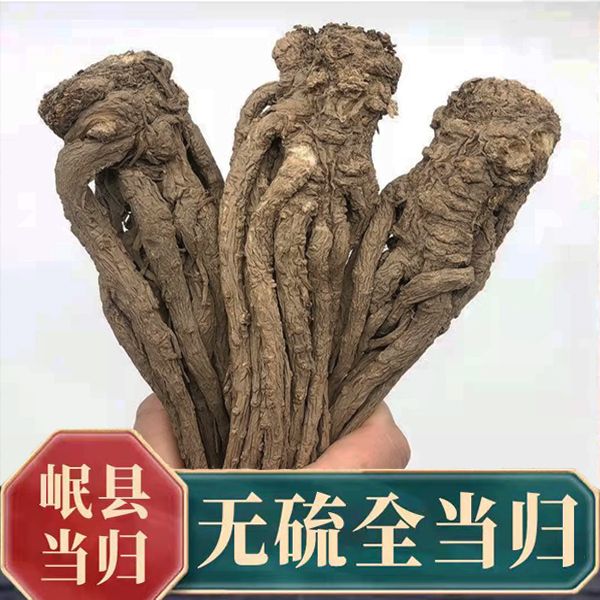甘肃岷县当归无硫当归特级非野生农家当归500克包邮当归片原产地