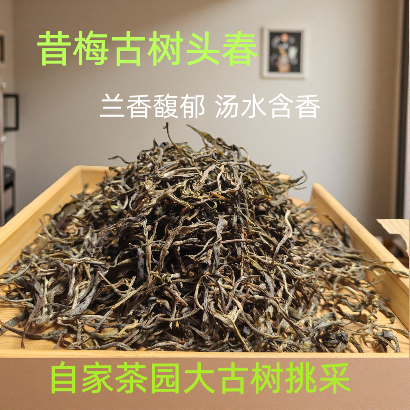 2025年昔梅古树茶无量山云南普洱茶生茶原料正品散茶100克茶叶
