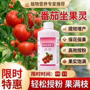 番茄坐果灵专用肥料西红柿点花药授粉沾花高座果增产保花保果神器