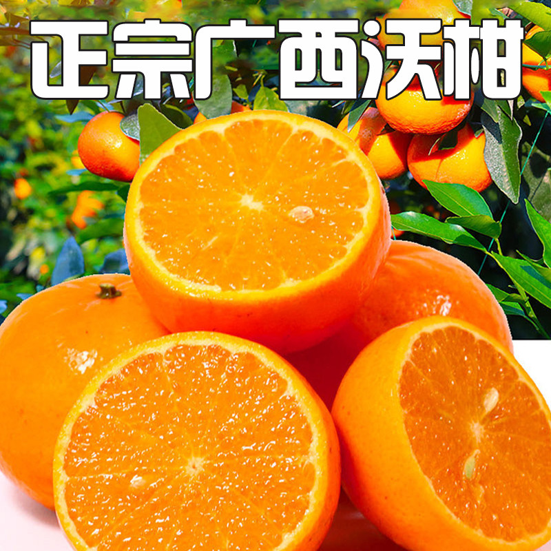 正宗广西武鸣沃柑新鲜水果纯甜现摘桔子薄皮孕妇砂糖橘产地直发