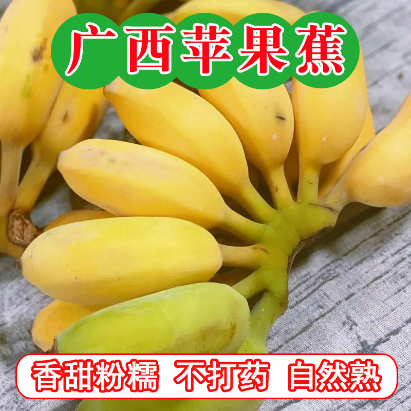 广西苹果蕉香蕉自然熟现摘当季新鲜水果粉芭蕉小香蕉5斤整箱包邮