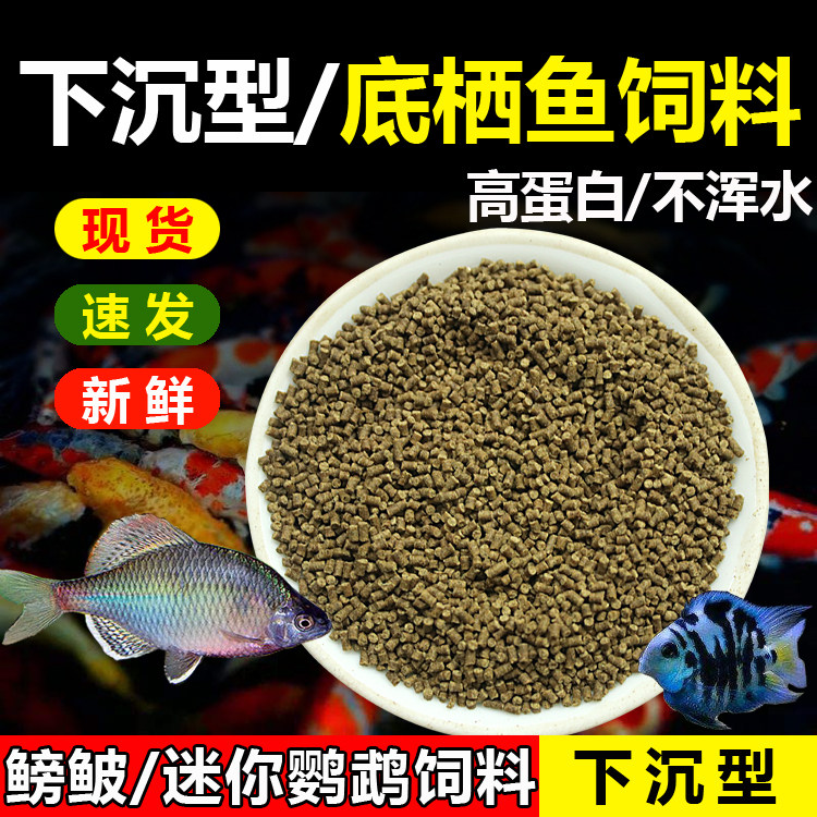 三湖慈鲷鳑鲏鱼底层鱼饲料迷你鹦鹉鱼溪石斑缓沉下沉型底栖鱼鱼食