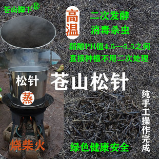 大理苍山脚下腐熟纯松针松针土兰花蓝莓君子兰酸性种植土专用花土