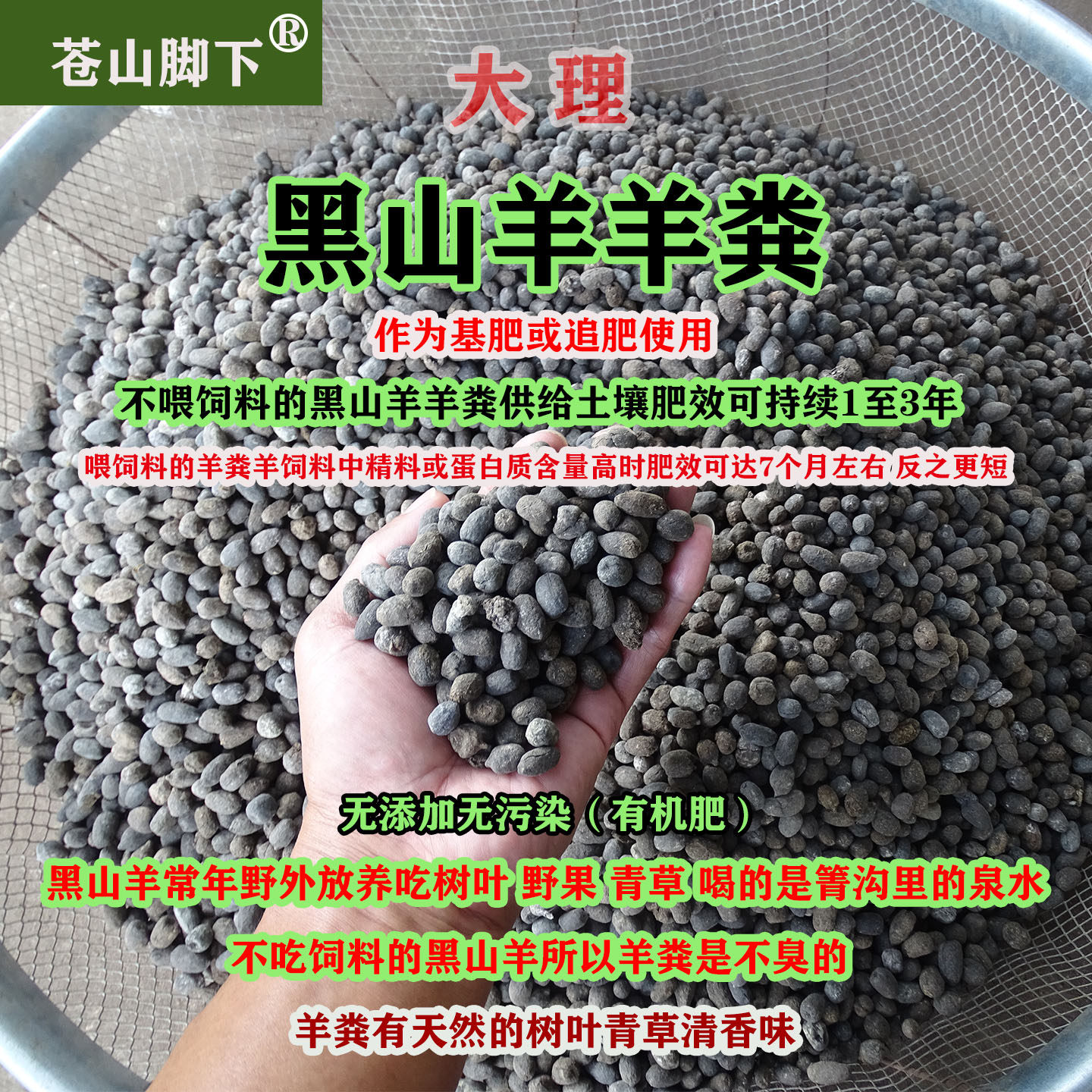 苍山脚下大理黑山羊羊粪有机肥