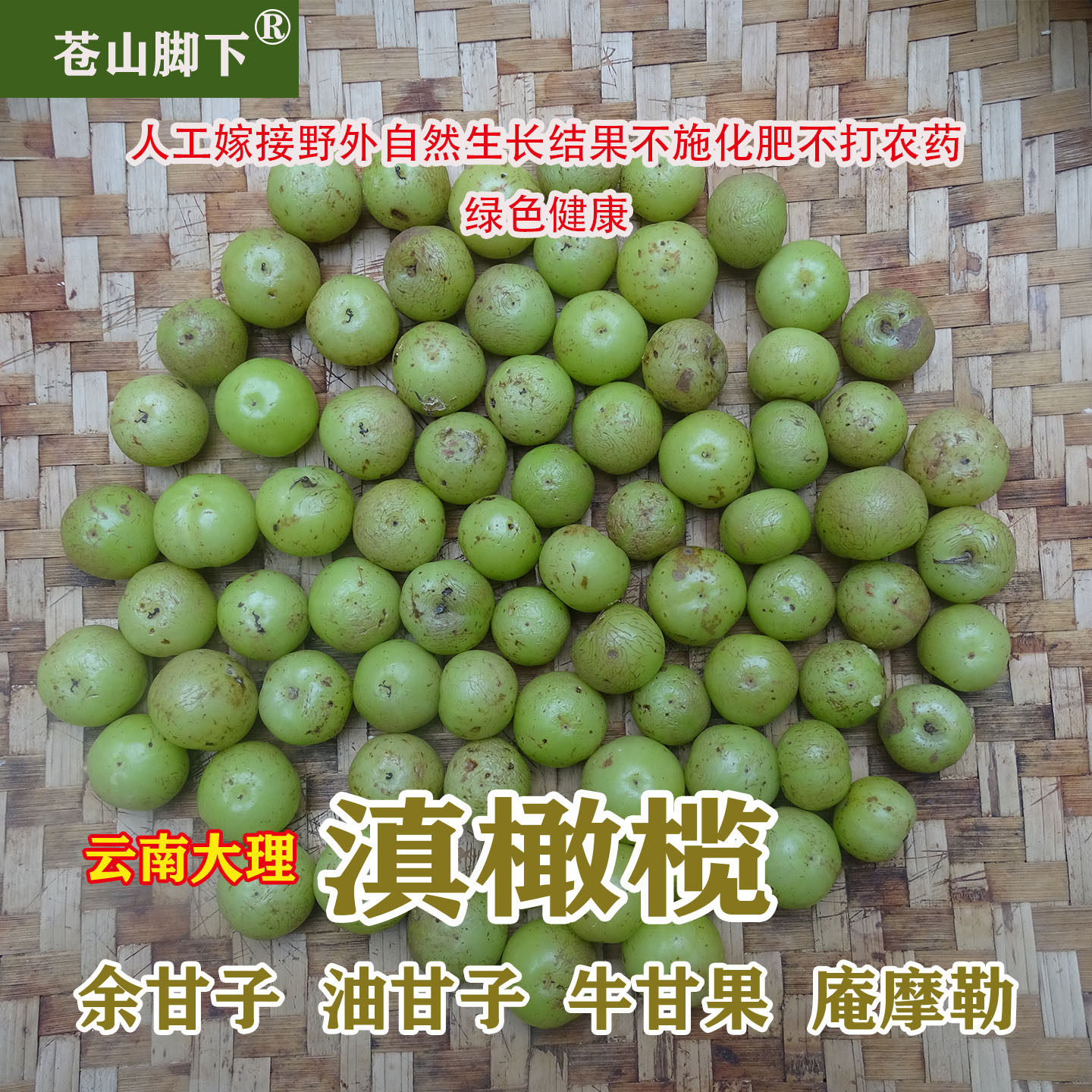 苍山脚下野生滇橄榄余甘子油甘子
