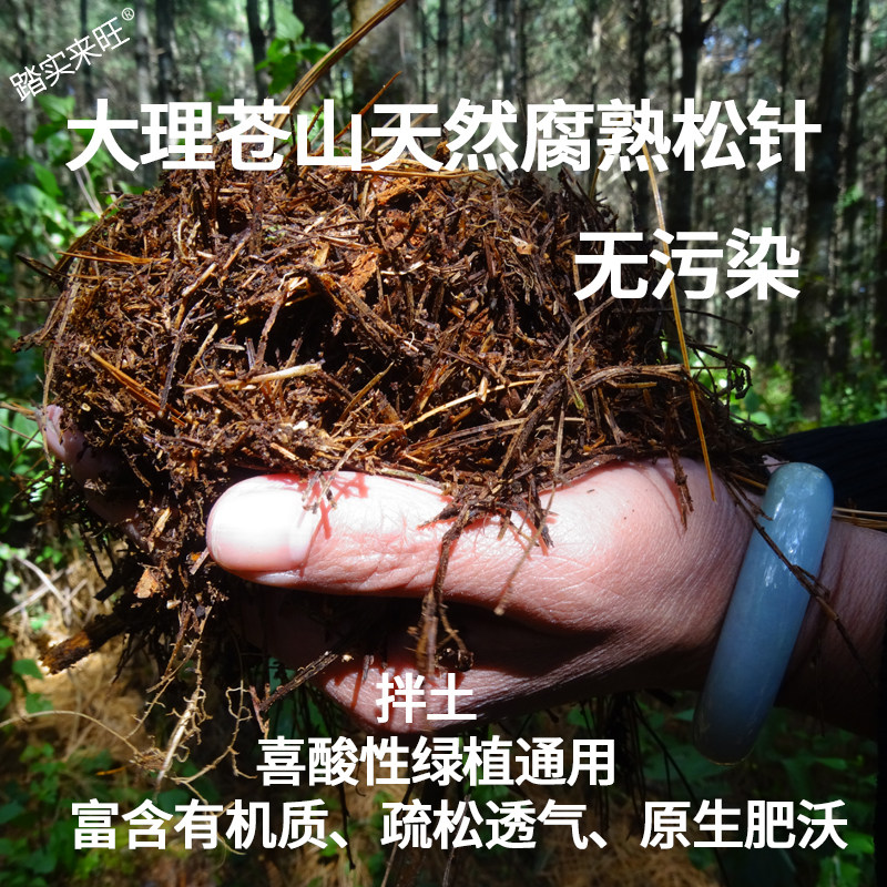 营养土月季多肉花卉腐熟松针