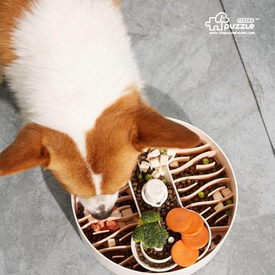宠物puzzlefeeder慢食碗