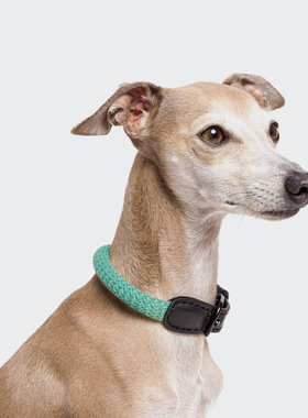 柏林墙公园项圈 德国进口Cloud7植物皮革可水洗Petisan