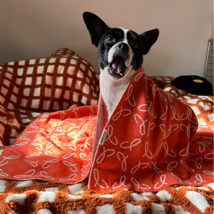 盖毯宠物毯 petisan自制狗猫用双层家居午睡毯柔软防静电