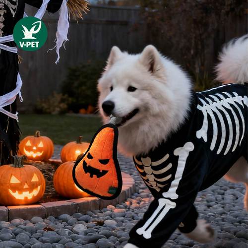 V-pet  万圣节系列啃咬解闷玩具 Petisan