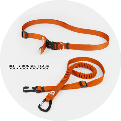 弹力牵引绳 Wildebeest 美国进口 解放双手 一拖二两只狗 petisan