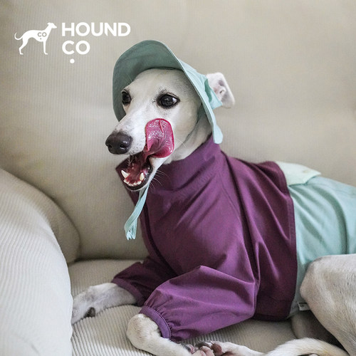 Outdoorexplorer宠物两脚衣 Hound.co户外速干轻量好打理 petisan