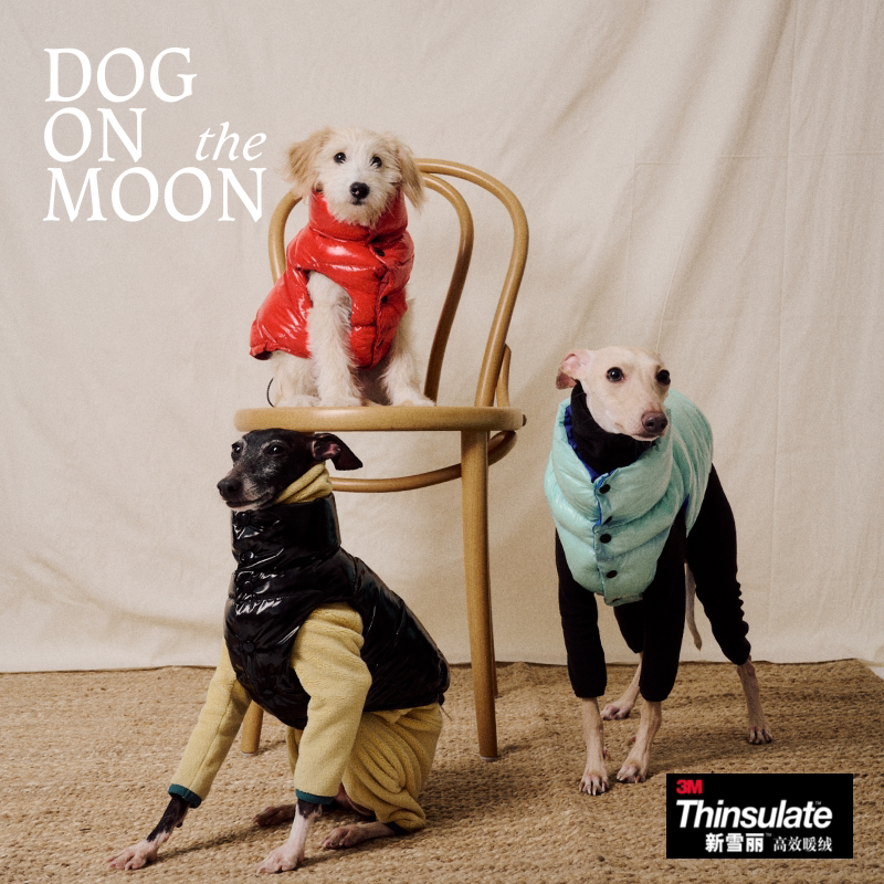 双面羽绒棉背心DOG ON THE MOON秋冬保暖衣服 petisan