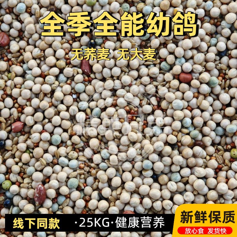 无荞麦无大麦幼鸽粮50斤