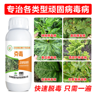 辣椒病毒病专用药番茄病菌清西甜瓜百香果西葫芦黄瓜疫病清一遍净