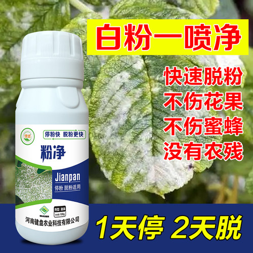 草莓白粉病专用药辣椒黄瓜葡萄西葫芦瓜类白粉药不伤花果无农残