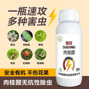 肉桂醛生物防虫剂辣椒豆角花卉果树蓟马蚜虫红蜘蛛白粉虱青虫通杀