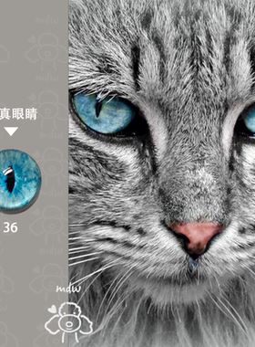 mdw家原创蓝色系仿真动物眼睛珠羊毛毡手工diy兽装扭棒猫狗眼配件