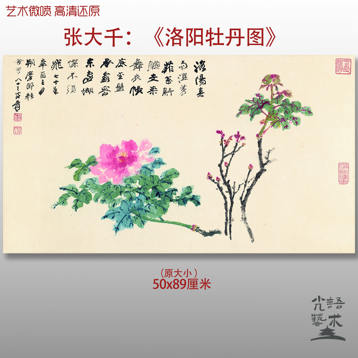 张大千洛阳牡丹图水墨彩色花卉国画打印教学绢本画心临摹范本画稿