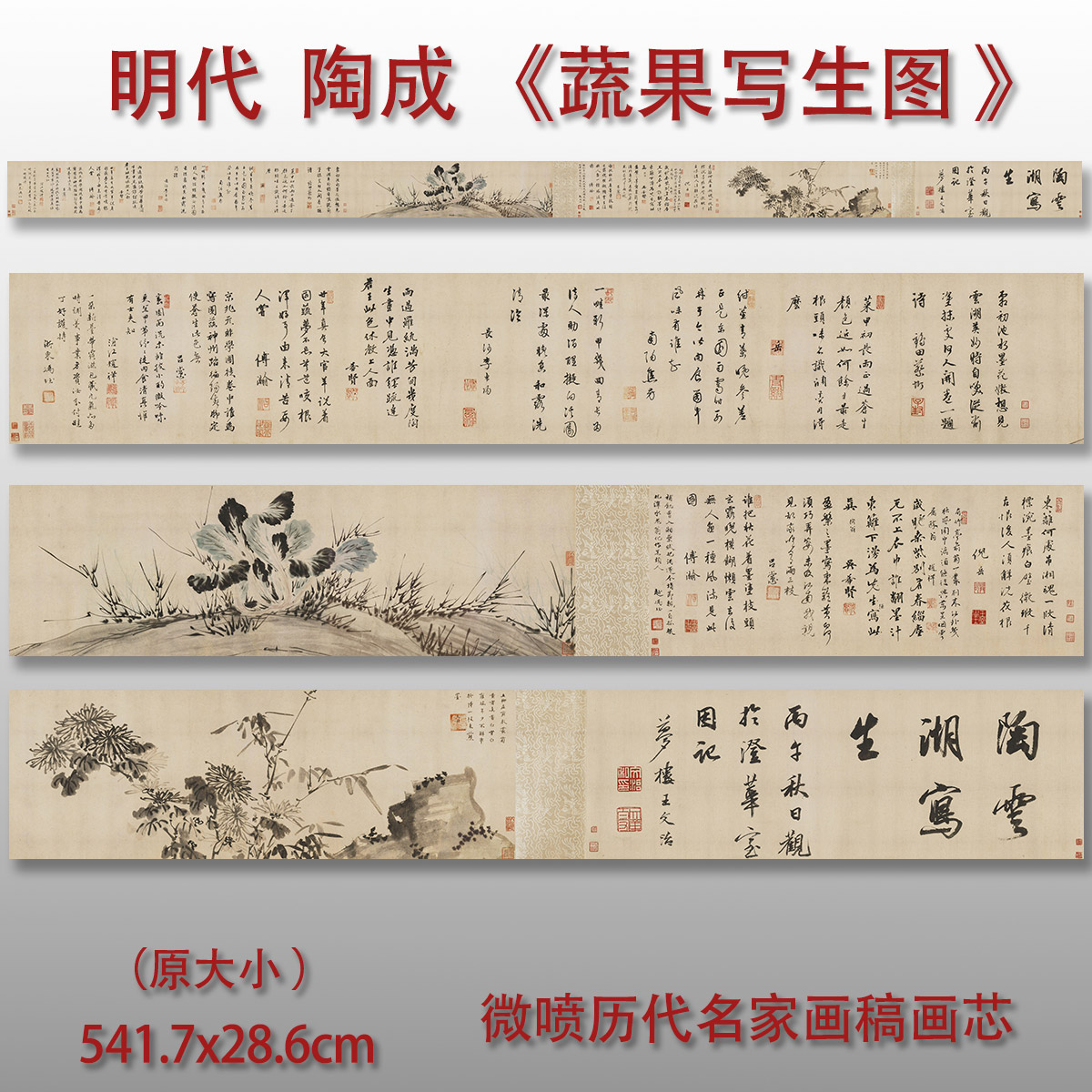 明陶成蔬果写生图长卷微喷画稿高清复制临摹画稿花鸟画写意画