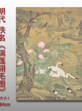 佚名瑞莲翎毛图花鸟画