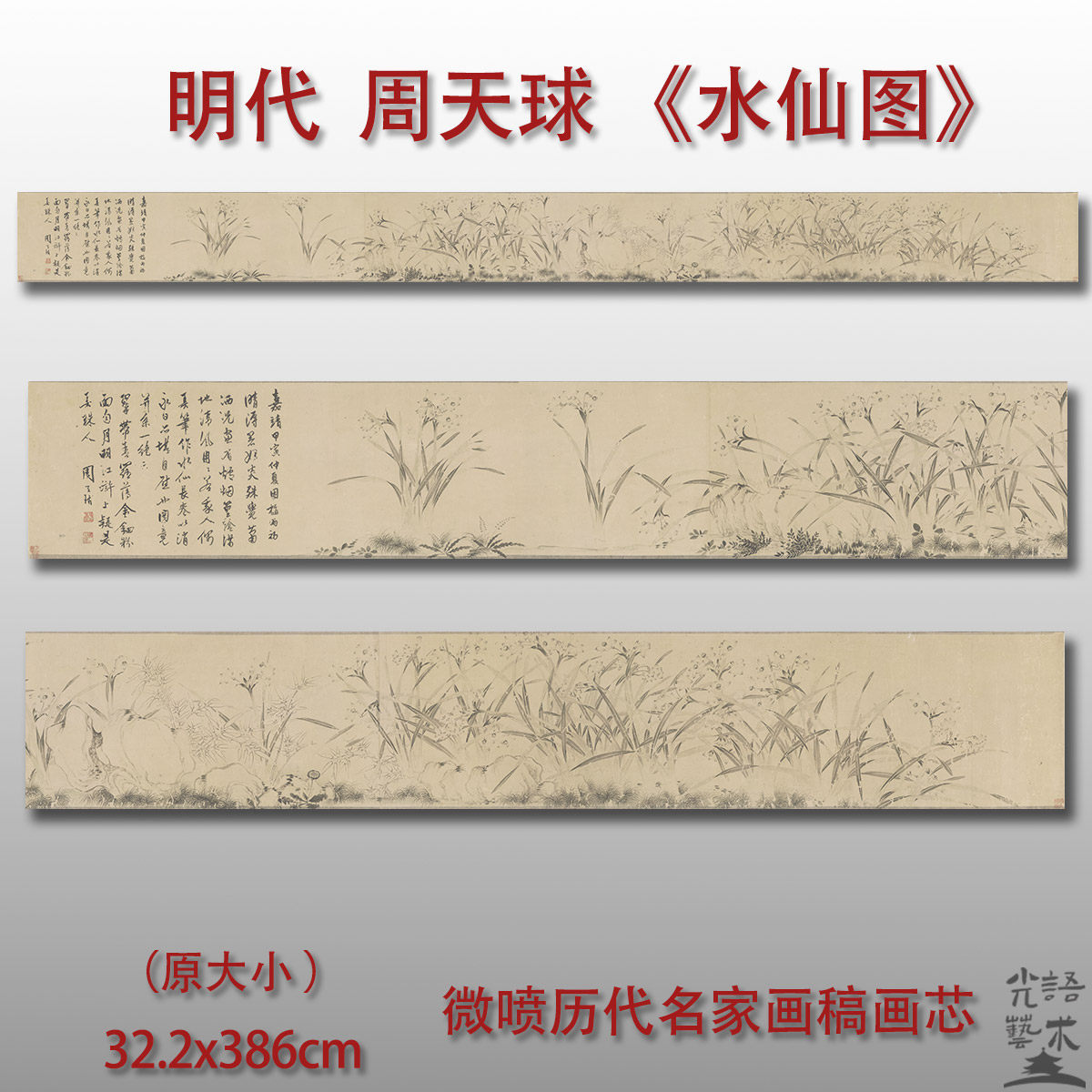周天球水仙图明代花卉国画