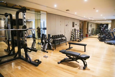 原装进口意大利泰诺健Technogym家用健身房健身哑铃可调节练习椅