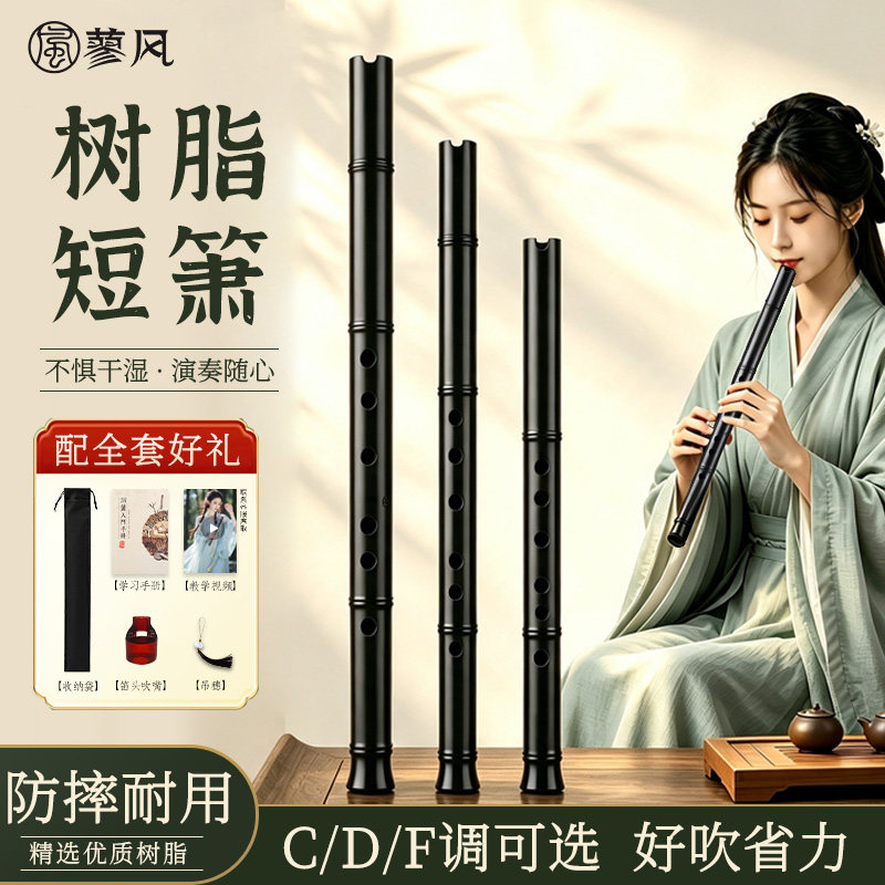 树脂洞箫6孔短笛C调初学者入门六孔D/F调短竹萧专业演奏潇笛乐器