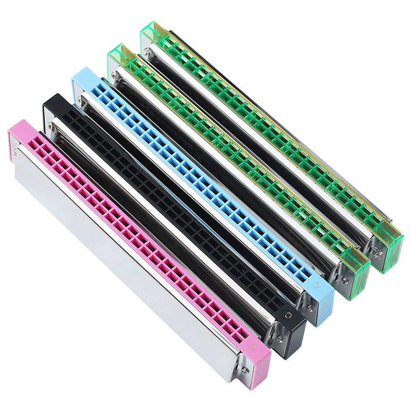 天鹅口琴初学者学生24孔入门儿童复音成人专业重音C调口风琴乐器