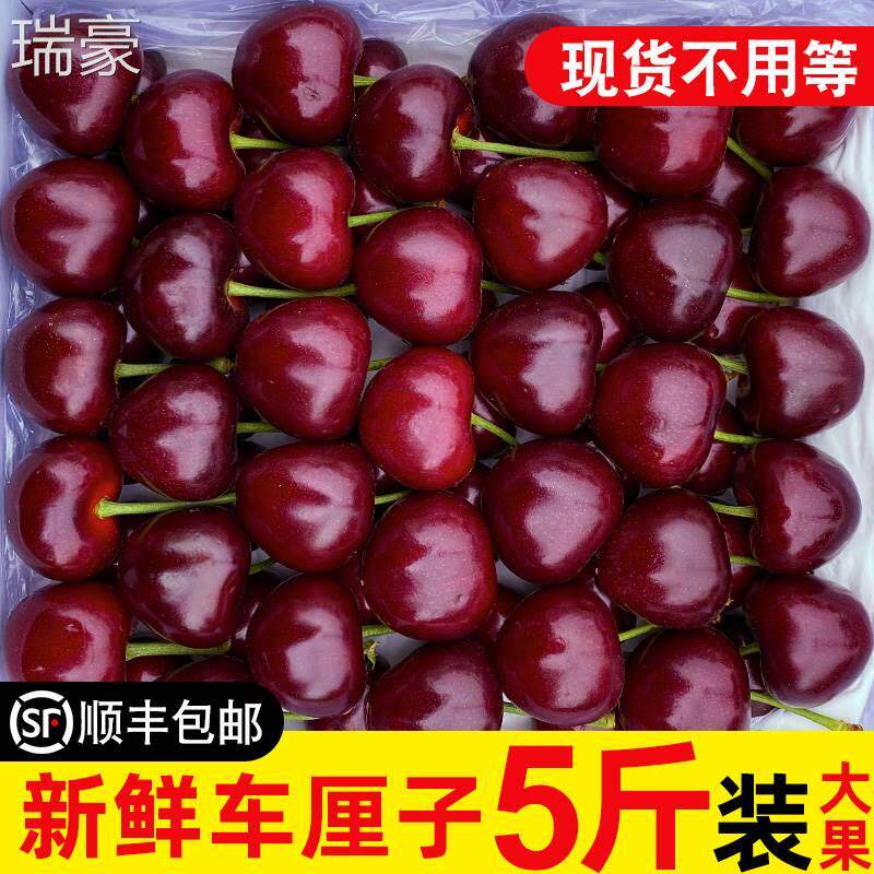 现货智利车厘子进口新鲜水果空运整箱当季大樱桃孕妇次日达10斤