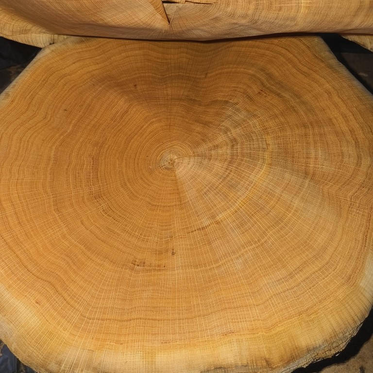 白橡木横切径切年轮木皮家具道具年轮木皮贴皮无纺布木皮,基础建材,木皮,淘宝优惠券,粉丝福利购,淘宝优惠卷