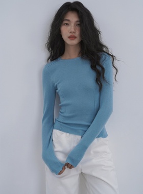 蓝色圆领长袖针织衫上衣女2025年秋冬季纯色基础款百搭内搭打底衫