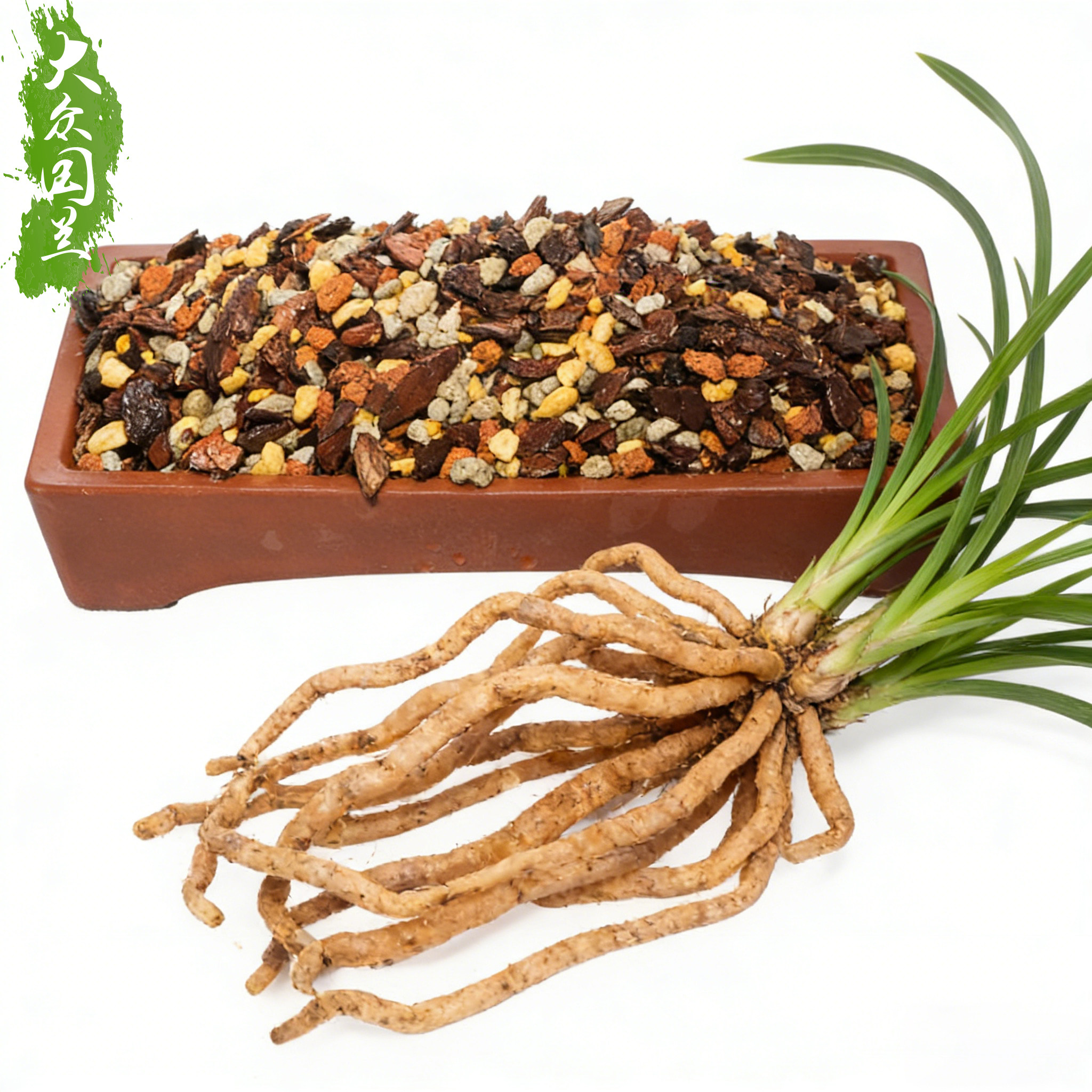 兰花土专用土栽种兰草植料家用君子兰营养土松树皮配料透气植金石