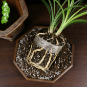 16升装 兰花土专用透气营养土种铁皮石斛蝴蝶兰君子兰松树皮植料