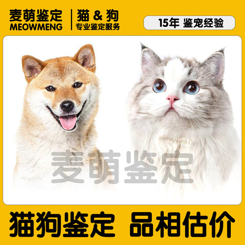 24H在线猫狗鉴定！累计鉴60万+！
