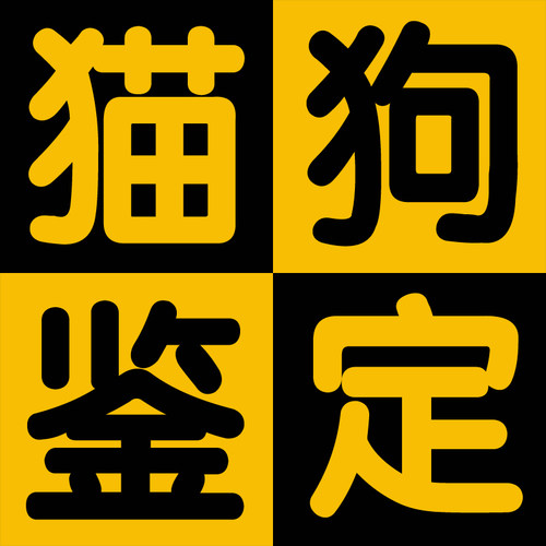 24H在线猫狗鉴定！累计鉴60万+！