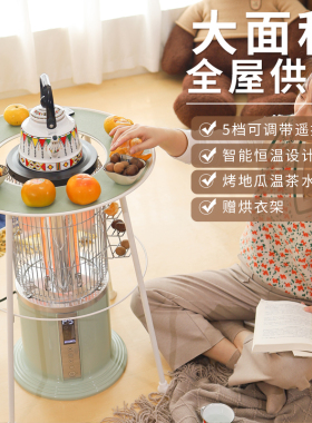 信一冬天取暖神器烤火炉电暖器气大面积加热器取暖器暖炉家用节能