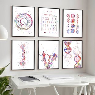 DNA结构图挂画染色体基因遗传学科普装饰画生物学医学实验室壁画