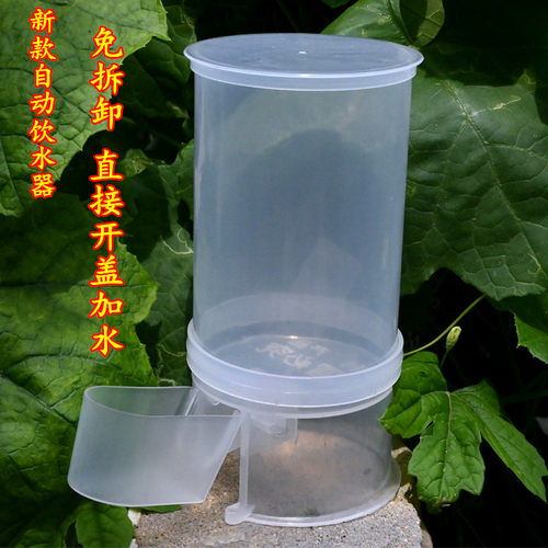 鸟用饮水器自动喝水壶鸽子用具双口导水器信鸽用品鹦鹉自动饮水器