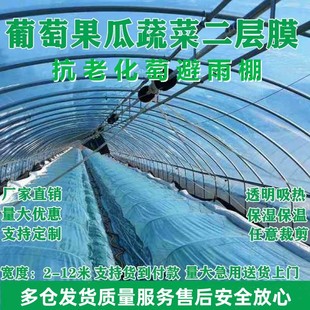 进口葡萄避雨棚膜抗老化无滴膜棚内二模瓜果蔬菜保温保湿塑料薄膜