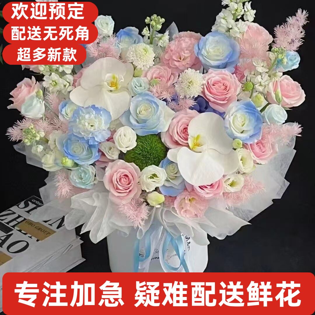 生日情人节送老婆鲜花同城连云港新浦连云海州区赣榆东海灌云灌南