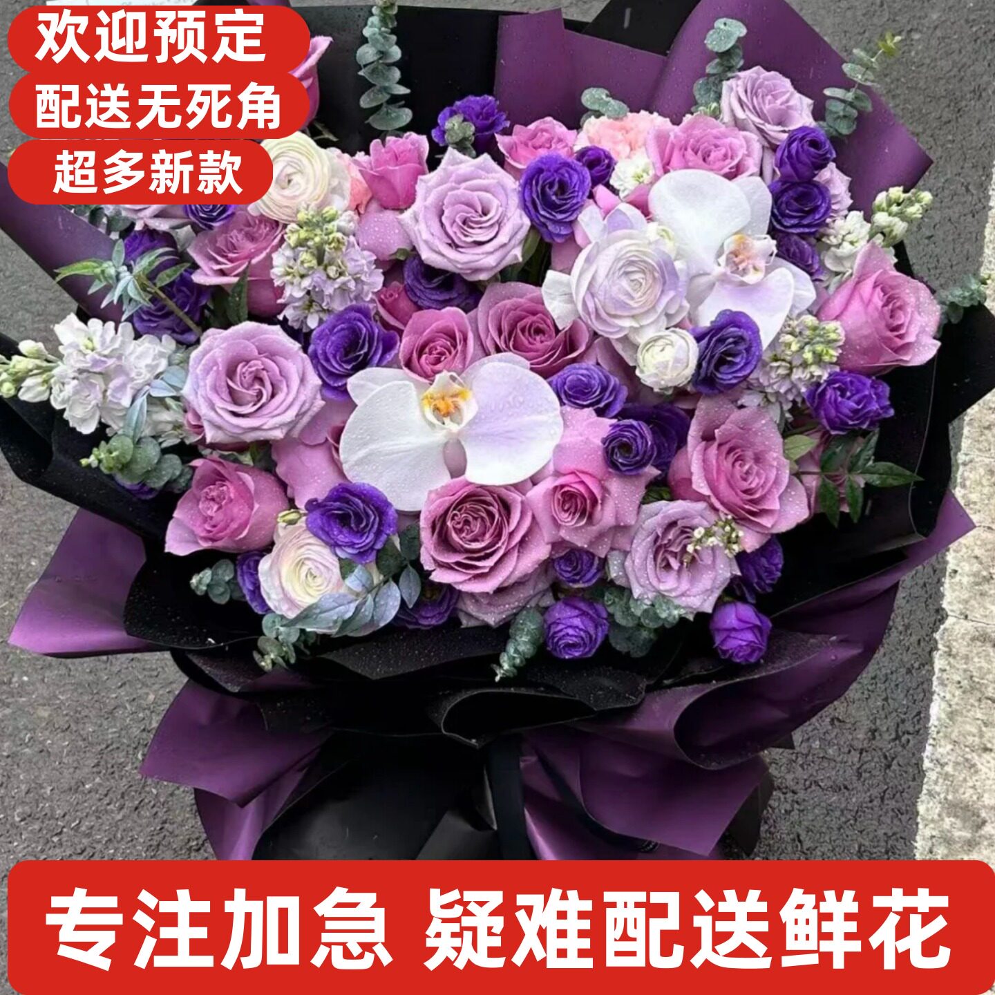 母亲鲜花康乃馨向日葵舟山湖州吴兴南浔区德清长兴安吉练市天荒坪