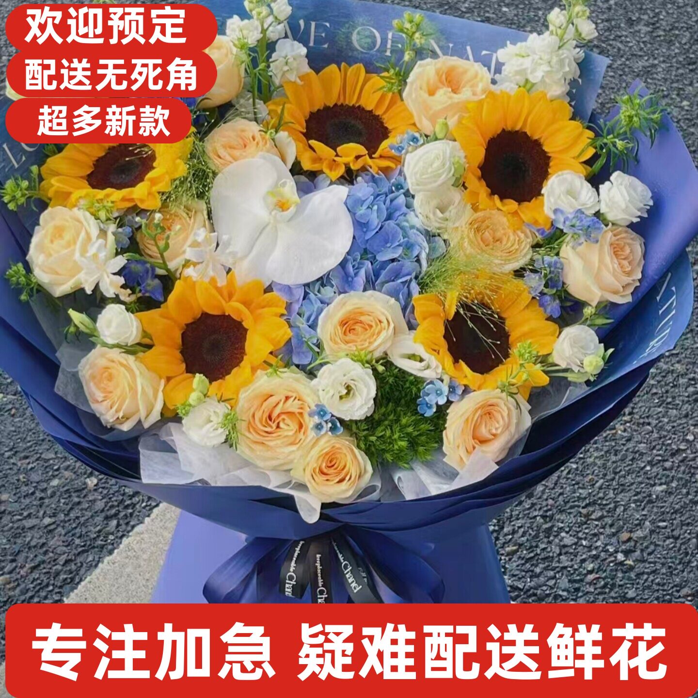 鲜花玫瑰同城温州鹿城龙湾瓯海瑞安乐清永嘉洞头平阳苍南文成泰顺