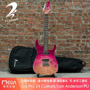 (已售 定制参考）T's Guitars Dst Pro 24 Custom Tom Anderson