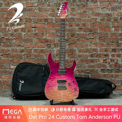 Anderson电吉他T'sGuitars
