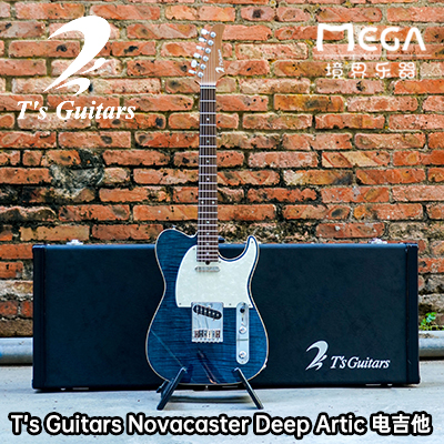 rsquoguitarsstandard电吉他