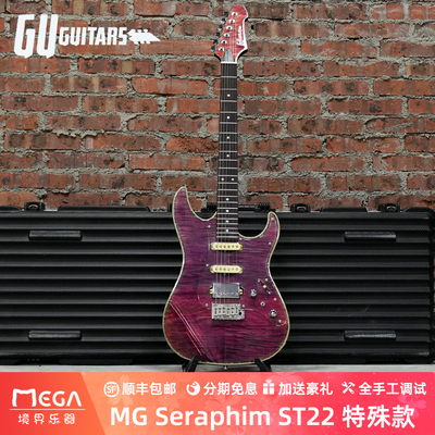 GuGuitars特殊款限量电吉他