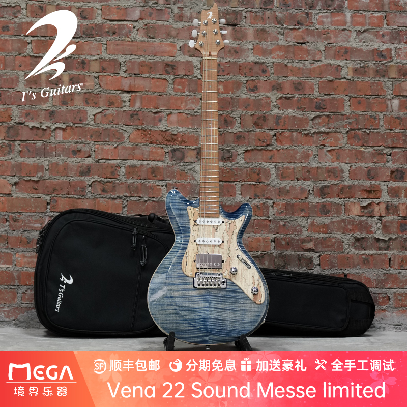 T'sGuitarslimited电吉他